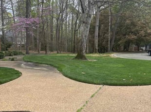 Matt C.'s Lawn Service service result