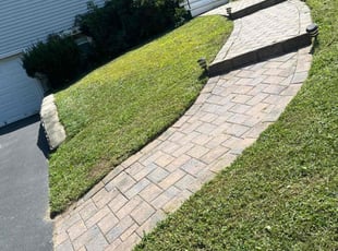 Vellangi S.'s Lawn Maintenance service result