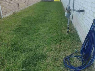 Lourd A.'s Lawn Mowing service result