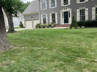 Patrick M.'s Lawn Care service result