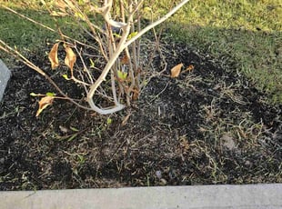 Weeding by Kevin Tyler for Maya W. in Manvel, TX