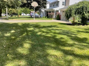 Raymond F.'s Lawn Mowing service result