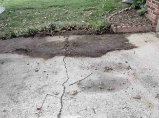 Cleanups by Ronald Bell for Raeleigh E. in Kansas City, MO