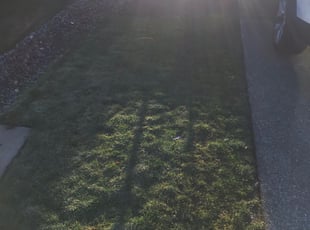 Weeding by Todd Horan for Jay R. in Puyallup, WA