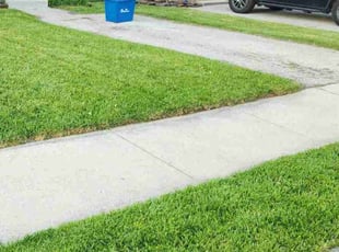 Shuran W.'s Lawn Mowing service result