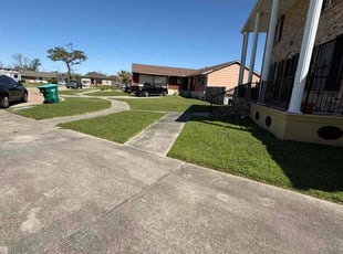 David D.'s Lawn Maintenance service result