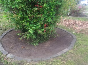Weeding by Alejandro Gamboa for Danielle W. in Collingswood, NJ