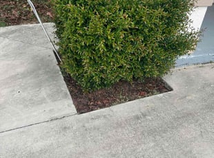 Weeding by Quinton Davis for Megan D. in Davenport, FL