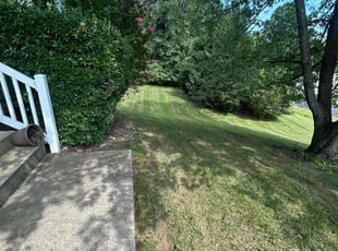 Harry H.'s Lawn Care service result