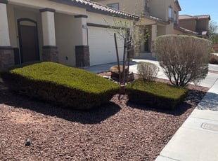 Bush Trimming by John Skitzis for Mariah U. in North Las Vegas, NV