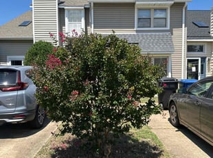 Bush Trimming by Casey Moseley for David D. in Virginia Beach, VA