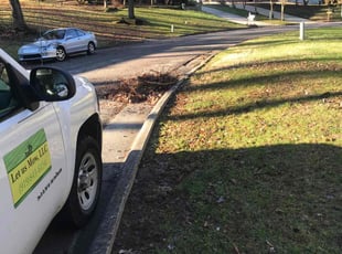 Cleanups by Brandon Medlin for Alexander A. in Cary, NC