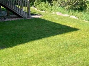 Erik M.'s Lawn Mowing service result