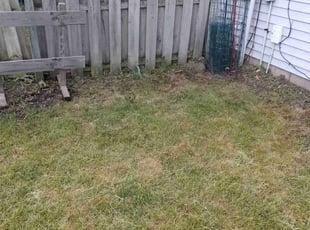 Cleanups by Sheila Aills for Lestine S. in Lafayette, IN