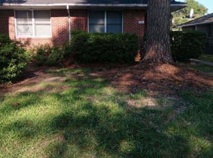Cleanups by Larry Gordon for Delphine B. in Portsmouth, VA