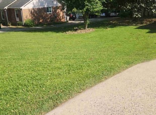 Pamela H.'s Lawn Care service result