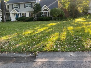 Landscaping by Matson Courrier for Patrick D. in Minneapolis, MN