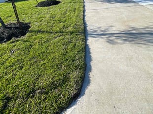 Cheryl M.'s Lawn Mowing Service service result