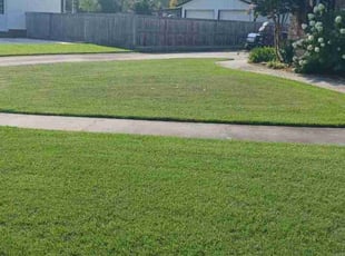 Starlene J.'s Lawn Service service result