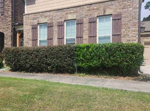 Bush Trimming by Bryan Bucklew for Hanyi M. in Suwanee, GA