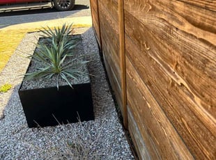 Weeding by Samuel Rueda for Connor L. in Austin, TX