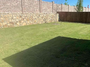 Sarah T.'s Lawn Care service result