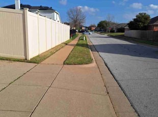 Nancy C.'s Lawn Mowing service result
