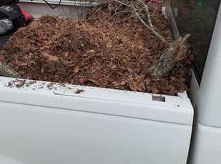 Leaf Removal by Timothy Goodin for Alicia M. in Pensacola, FL