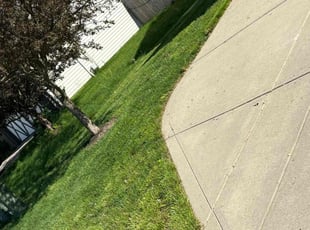 Erika C.'s Lawn Mowing service result