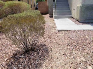 Weeding by Leland Floyd for Jackie W. in Las Vegas, NV