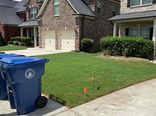 Deborah B.'s Grass Cutting service result