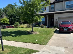 Mike P.'s Grass Cutting service result