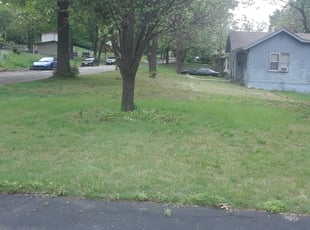 Leaf Removal by Julio Almestica for Margo F. in Kansas City, MO