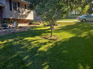 Ivy L.'s Lawn Service service result