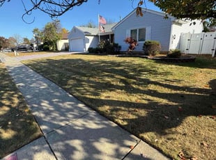 Amber J.'s Grass Cutting service result
