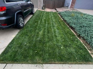 Matt N.'s Lawn Service service result