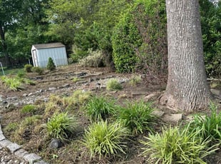 Weeding by Joshua Coonradt for Johnathan J. in Clayton, NC