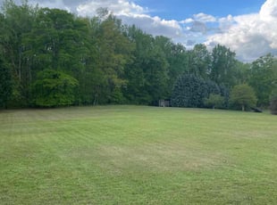 David L.'s Lawn Care service result