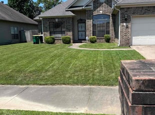 Lethesa G.'s Lawn Care service result