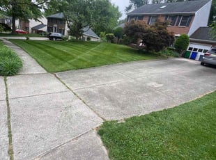 Shishir D.'s Lawn Service service result