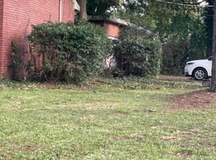 Javel F.'s Bush Trimming service result