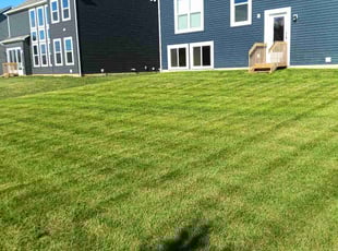 Sam V.'s Yard Cutting service result