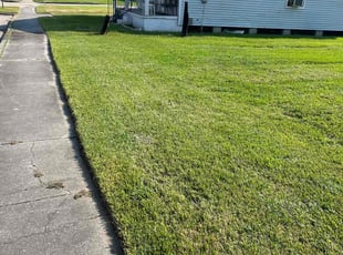 Jessica R.'s Yard Cutting service result
