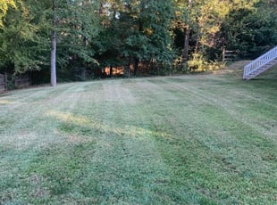 Mel B.'s Yard Cutting service result