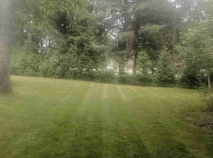 Heather B.'s Lawn Care service result