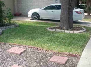 Grant H.'s Lawn Mowing service result