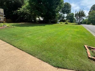 Hannah K.'s Lawn Mowing service result