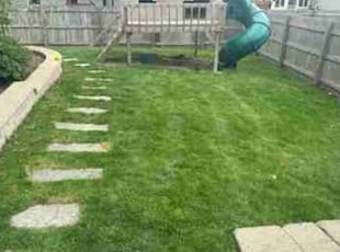 Mark S.'s Yard Cutting service result