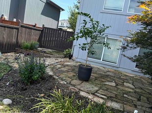Weeding by Scott Culala for Alex C. in Olathe, KS