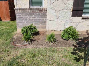 Weeding by Bryant Infante for Tonia R. in Round Rock, TX